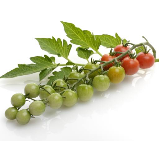 frutas, legumes, tomates, tomate, verde, vermelho, folhas, comida Svetlana Foote (Saddako123)