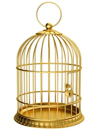 pássaro, gaiola, ouro, fechamento Ayvan - Dreamstime