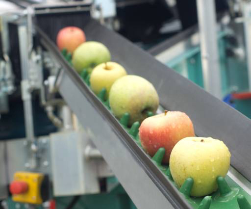 maçãs, comida, máquina, fábrica Jevtic