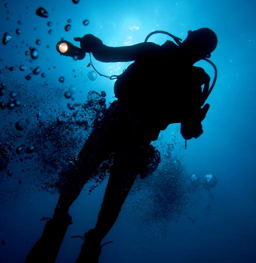 de água, o homem, mergulhador, azul, luz, bolhas Planctonvideo