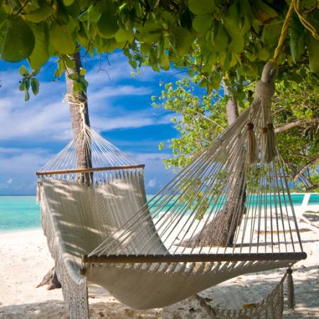 beaxch, resort, cama, relaxar, árvores, água, mar Micha Rosenwirth - Dreamstime