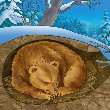 urso, inverno, sono, frio, natureza Alexander Kukushkin - Dreamstime