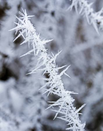 geada, gelo, inverno, pico Haraldmuc - Dreamstime