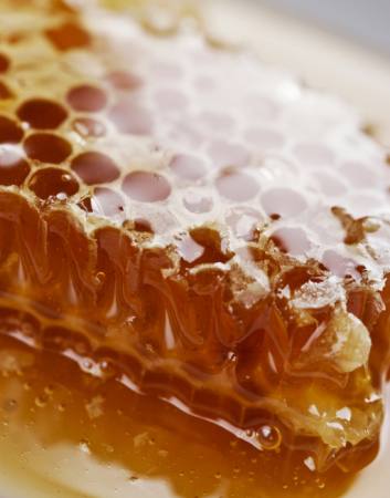 abelha, abelhas, mel Liv Friis-larsen - Dreamstime