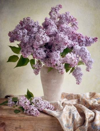 flores, vaso, roxo, tabela, pano Jolanta Brigere - Dreamstime