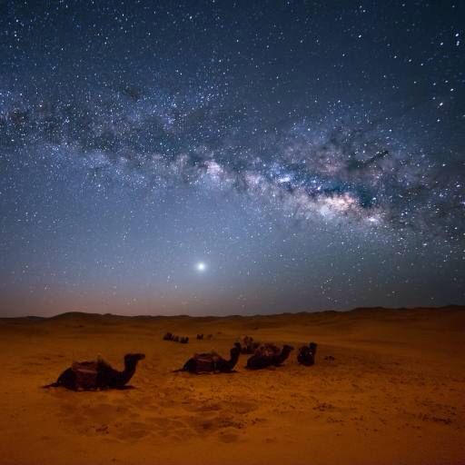 céu, noite, , deserto, camelos, estrelas, lua Valentin Armianu (Asterixvs)