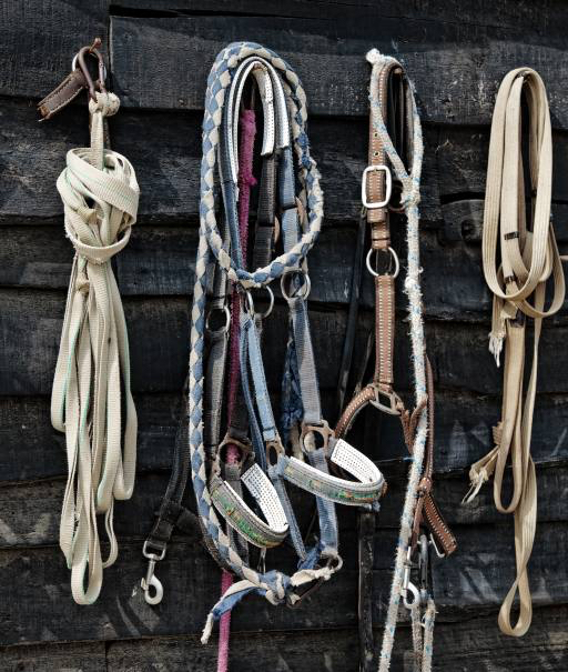 cavalo, corda, cordas, objetos Vladimir Lukovic (Radelukovic)