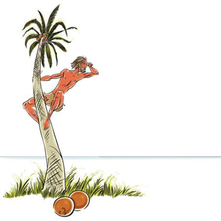 o homem, ilha, encalhado, coco, palmeira, olhar, mar, oceano Sylverarts - Dreamstime
