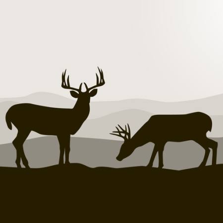cervos, preto, paisagem, animais, animal Dagadu - Dreamstime