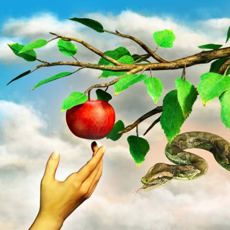 maçã, serpente, ramo, verde, folhas, mão Andreus - Dreamstime