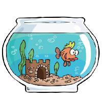 Pixwords Com a imagem peixes, bacia, Swin, água, castelo, areia Dedmazay - Dreamstime