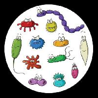 Pixwords Com a imagem insetos, microscópio, limo, vírus Dedmazay - Dreamstime