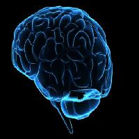 Pixwords Com a imagem cabeça, homem, mulher, pense, cérebros Sebastian Kaulitzki - Dreamstime