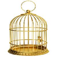 pássaro, gaiola, ouro, fechamento Ayvan - Dreamstime