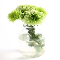Pixwords Com a imagem planta, flor, verde, água, tubo, vaso Kerstin Aust - Dreamstime