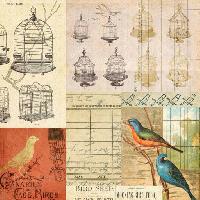 Pixwords Com a imagem gaiola, pássaro, pássaros, desenho Jodielee