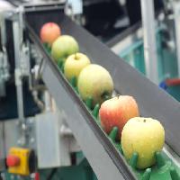 Pixwords Com a imagem maçãs, comida, máquina, fábrica Jevtic