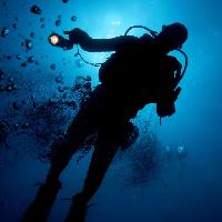 Pixwords Com a imagem de água, o homem, mergulhador, azul, luz, bolhas Planctonvideo