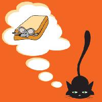 Pixwords Com a imagem rato, gato, animal, ratos, sandwitch Lillia - Dreamstime