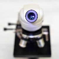 Pixwords Com a imagem lente da câmera, microscópio catiamadio
