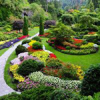 Pixwords Com a imagem jardim, flores, cores, verde Photo168 - Dreamstime