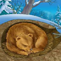Pixwords Com a imagem urso, inverno, sono, frio, natureza Alexander Kukushkin - Dreamstime