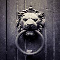 Pixwords Com a imagem leão, anel, boca, porta Mauro77photo - Dreamstime