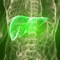 Pixwords Com a imagem o homem, corpo, fígado, órgão Sebastian Kaulitzki - Dreamstime
