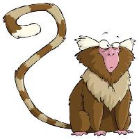 Pixwords Com a imagem macaco, animal, cauda, ​​estranho, surpreendido Dedmazay - Dreamstime