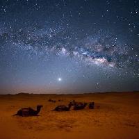 Pixwords Com a imagem céu, noite, , deserto, camelos, estrelas, lua Valentin Armianu (Asterixvs)