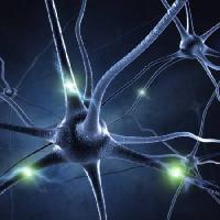 Pixwords Com a imagem sinapse, cabeça, neurônio, conexões Sashkinw - Dreamstime