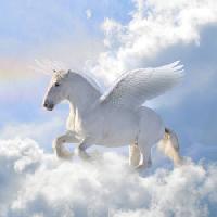 Pixwords Com a imagem cavalo, nuvens, mosca, asas Viktoria Makarova - Dreamstime