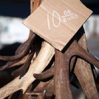 dez euros, madeira, tag, placa, cartboard, chifre, chifres Eugenesergeev - Dreamstime