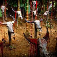 Pixwords Com a imagem cabeça, cabeças, crânio, crânios, sangue, árvores, animais Victor Zastol`skiy - Dreamstime