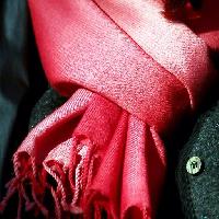 Pixwords Com a imagem vermelho, pano, roupas, lenço, botão Clarita
