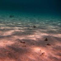 Pixwords Com a imagem do mar, assoalho de mar, água, luz, raios, areia Thomas Eder (Thomaseder)