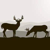 Pixwords Com a imagem cervos, preto, paisagem, animais, animal Dagadu - Dreamstime