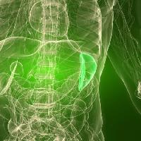 Pixwords Com a imagem órgão, humano, homem Sebastian Kaulitzki - Dreamstime