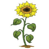 Pixwords Com a imagem amarelo, crescer, flor, verde, planta Dedmazay - Dreamstime