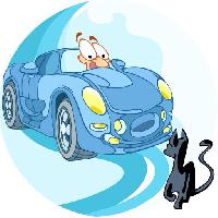 Pixwords Com a imagem carro, movimentação, gato, animal Verzhh