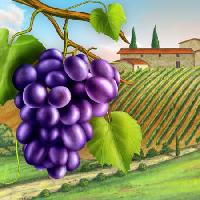 Pixwords Com a imagem uvas, jardim, verde, folha, videira, fazenda Andreus - Dreamstime