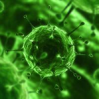 Pixwords Com a imagem as bactérias, vírus, insectos, doença, célula Sebastian Kaulitzki - Dreamstime